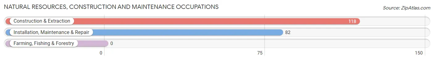 Natural Resources, Construction and Maintenance Occupations in Rochester