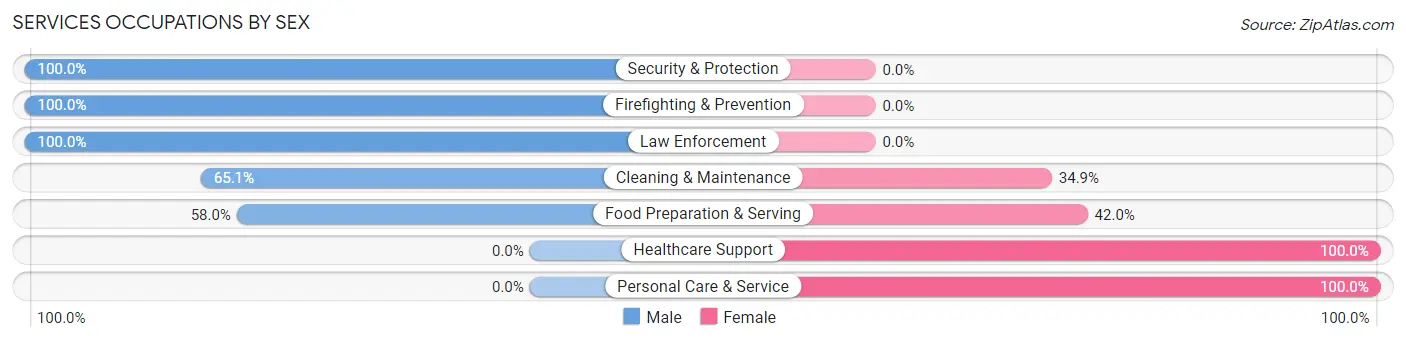 Services Occupations by Sex in Rochester