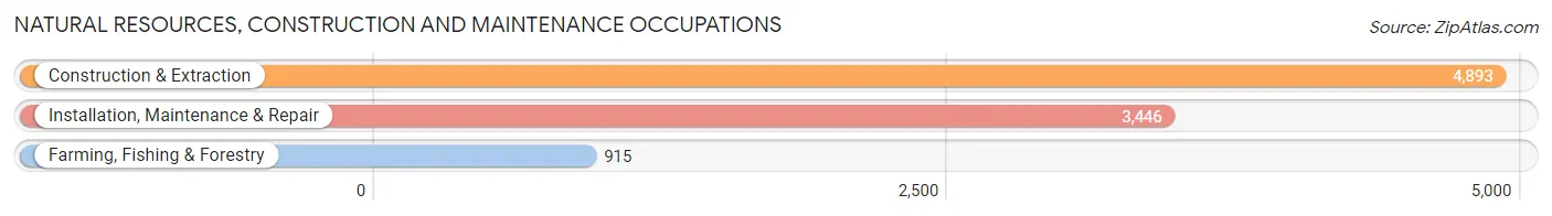 Natural Resources, Construction and Maintenance Occupations in Lexington