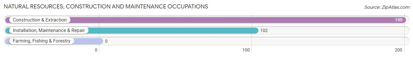 Natural Resources, Construction and Maintenance Occupations in Eveleth