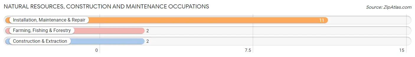 Natural Resources, Construction and Maintenance Occupations in Osage