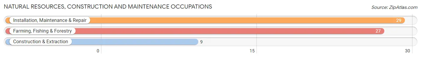 Natural Resources, Construction and Maintenance Occupations in Osakis
