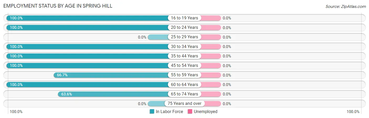 Employment Status by Age in Spring Hill