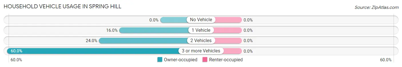 Household Vehicle Usage in Spring Hill