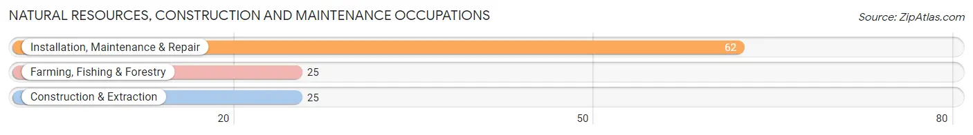 Natural Resources, Construction and Maintenance Occupations in Cordova