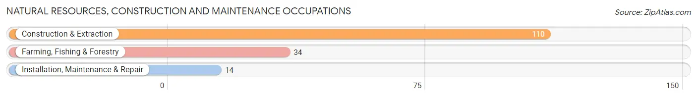 Natural Resources, Construction and Maintenance Occupations in Mount Olive