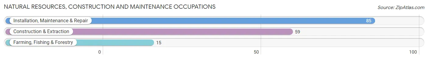 Natural Resources, Construction and Maintenance Occupations in Pinehurst