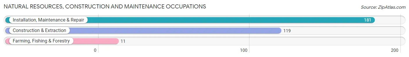 Natural Resources, Construction and Maintenance Occupations in Alliance