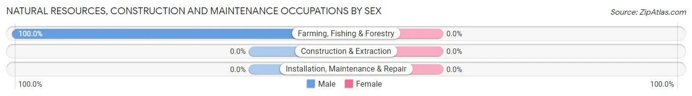Natural Resources, Construction and Maintenance Occupations by Sex in Glasgow