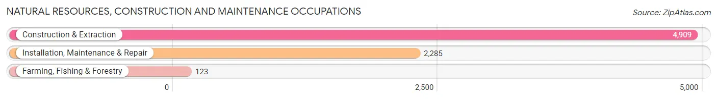 Natural Resources, Construction and Maintenance Occupations in Knoxville