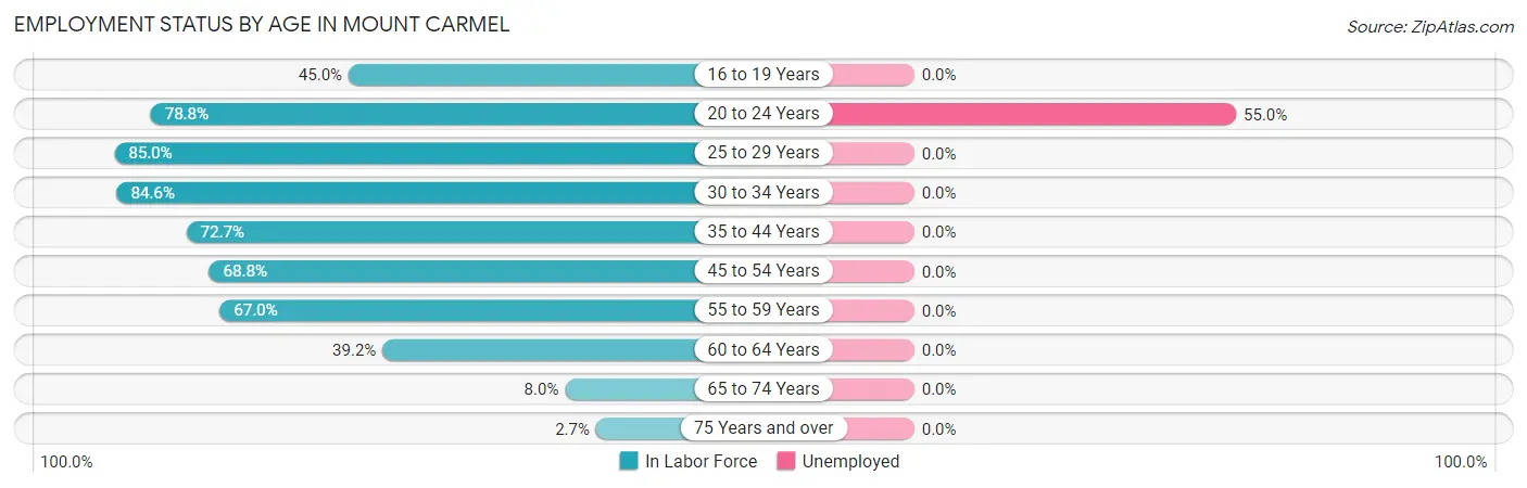 Employment Status by Age in Mount Carmel