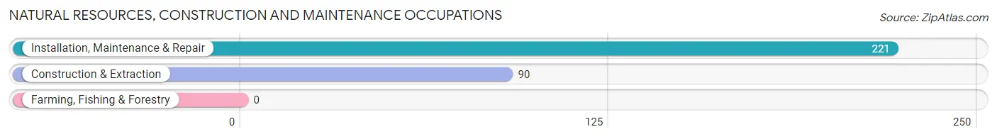 Natural Resources, Construction and Maintenance Occupations in Mount Carmel