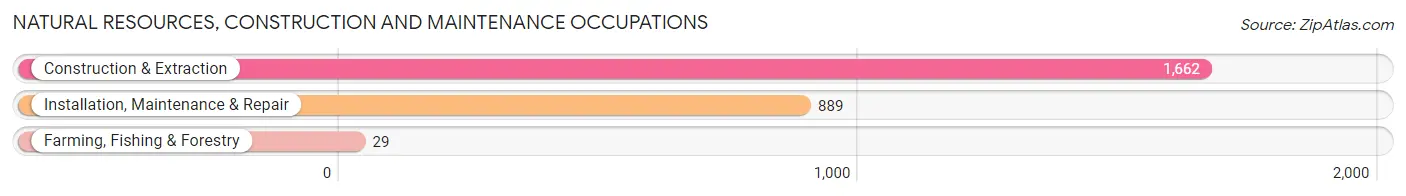 Natural Resources, Construction and Maintenance Occupations in Smyrna