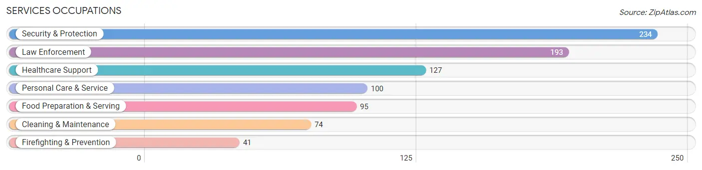 Services Occupations in Buda