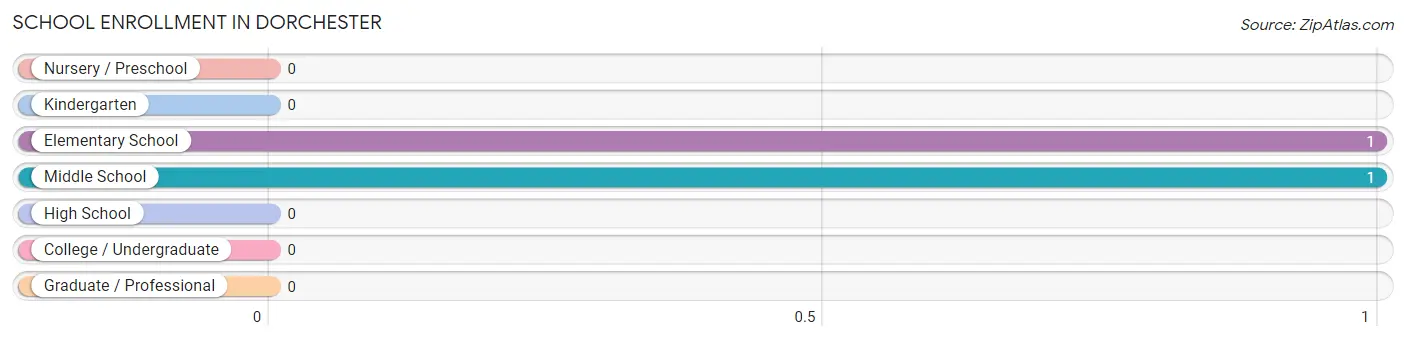 School Enrollment in Dorchester