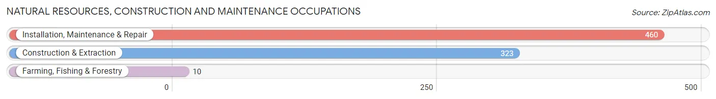 Natural Resources, Construction and Maintenance Occupations in Keller