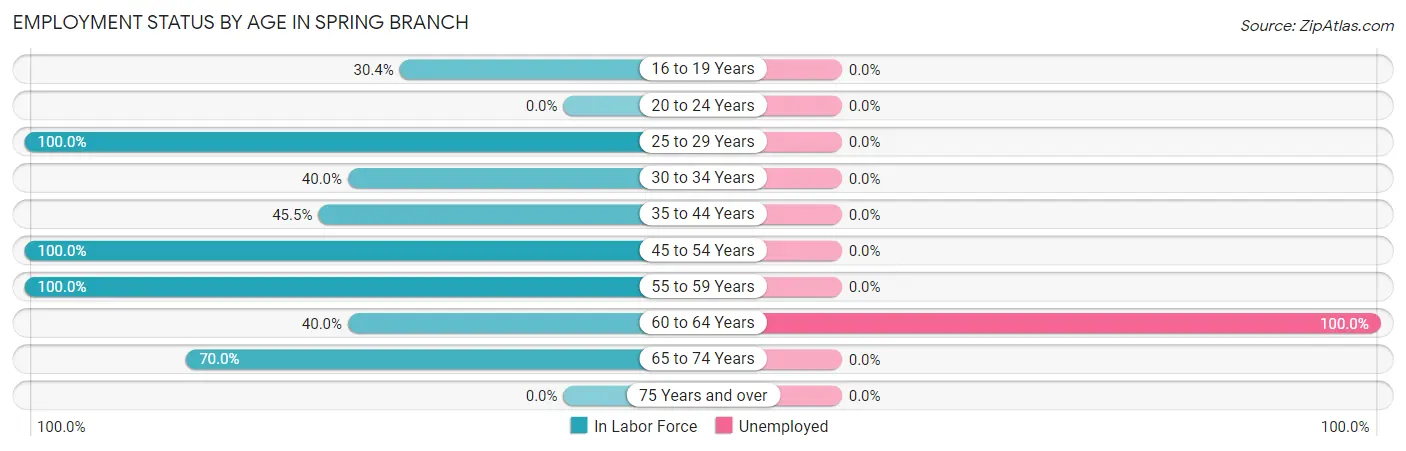 Employment Status by Age in Spring Branch