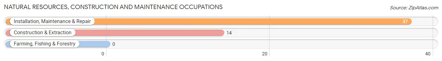 Natural Resources, Construction and Maintenance Occupations in Spring Branch