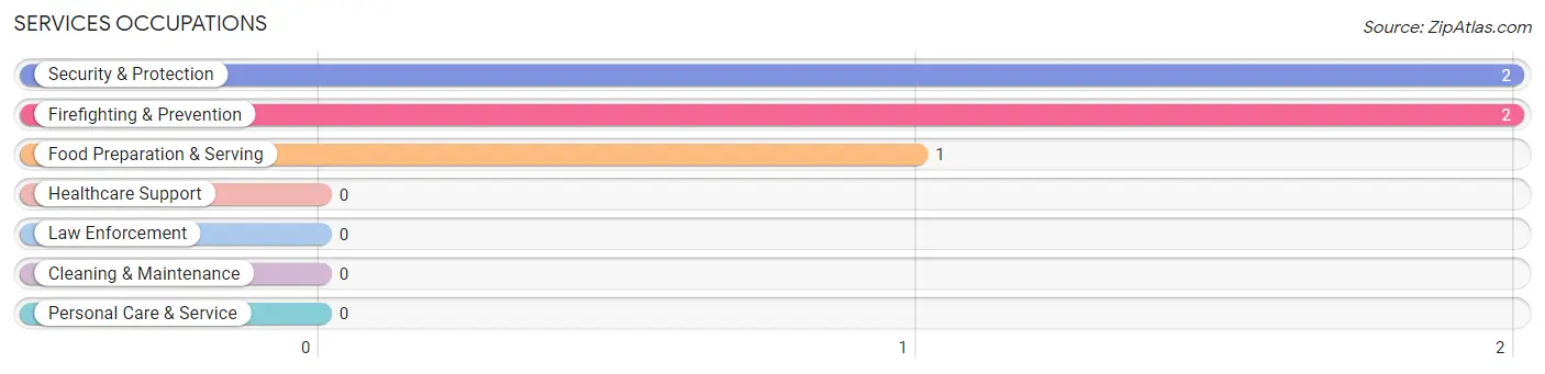 Services Occupations in Spring Branch