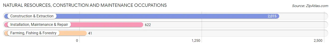 Natural Resources, Construction and Maintenance Occupations in Annandale