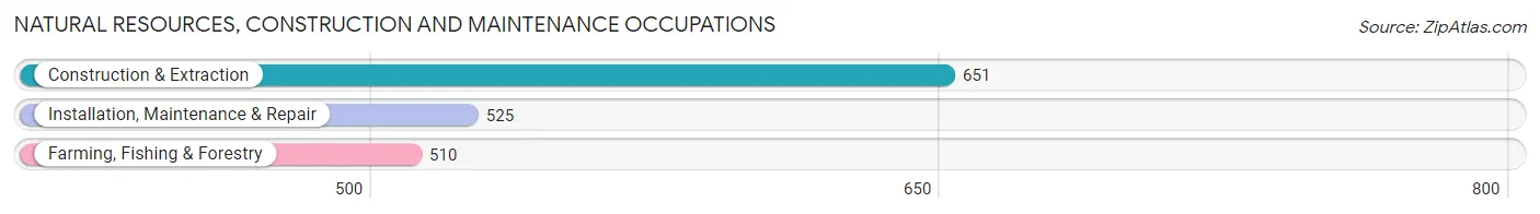 Natural Resources, Construction and Maintenance Occupations in Payette County