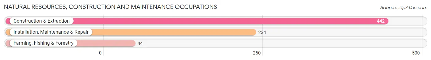 Natural Resources, Construction and Maintenance Occupations in Zip Code 10710