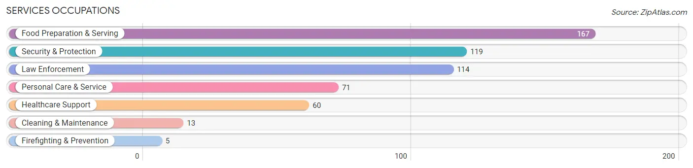 Services Occupations in Zip Code 19707