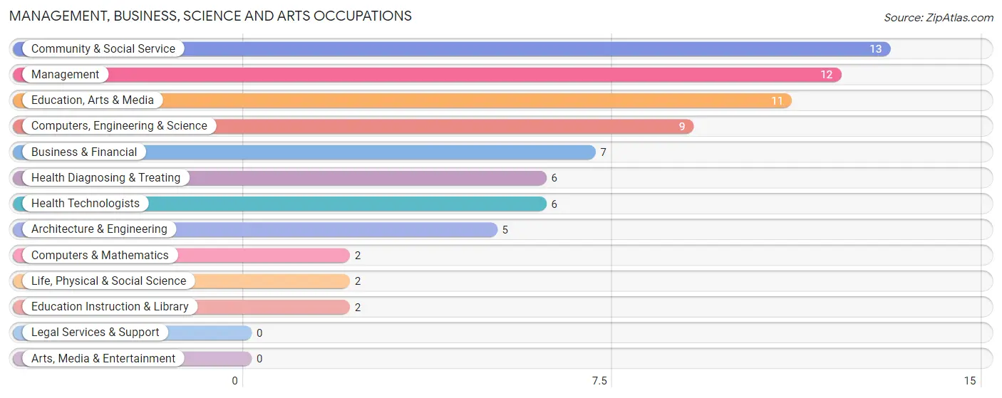Management, Business, Science and Arts Occupations in Zip Code 19931