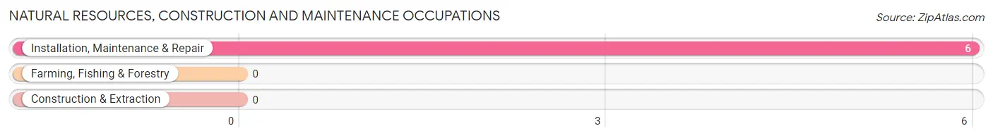 Natural Resources, Construction and Maintenance Occupations in Zip Code 19931