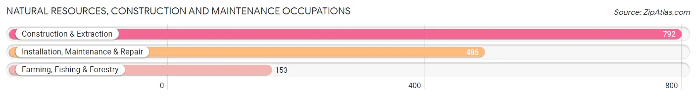 Natural Resources, Construction and Maintenance Occupations in Zip Code 19966