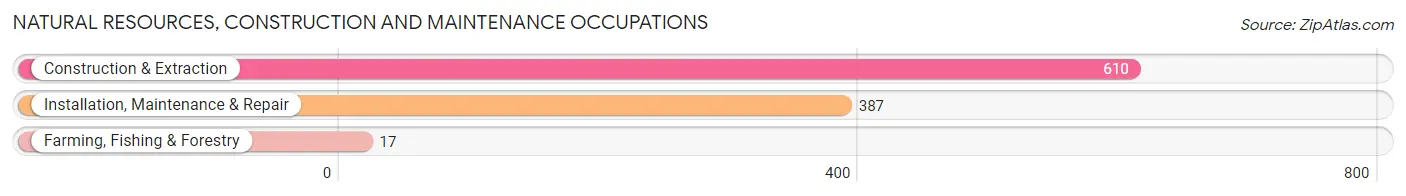 Natural Resources, Construction and Maintenance Occupations in Zip Code 20850