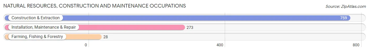 Natural Resources, Construction and Maintenance Occupations in Zip Code 21401