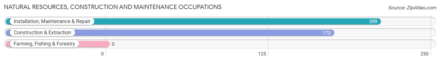 Natural Resources, Construction and Maintenance Occupations in Zip Code 21770