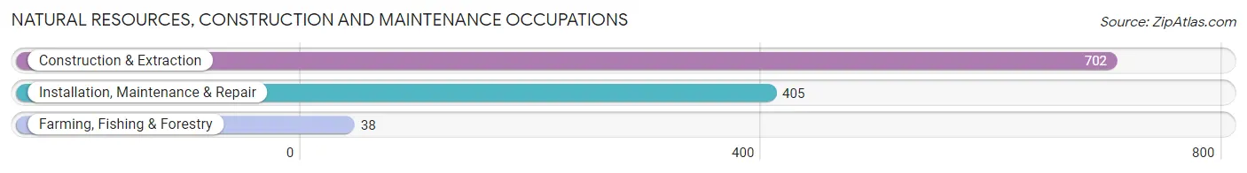 Natural Resources, Construction and Maintenance Occupations in Zip Code 33972