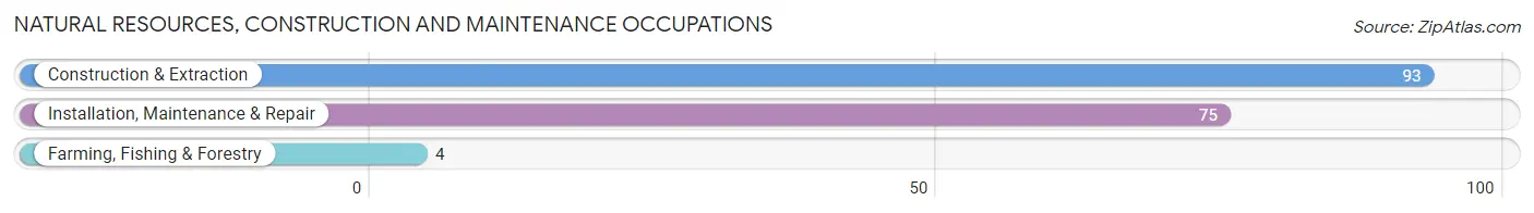 Natural Resources, Construction and Maintenance Occupations in Zip Code 37352
