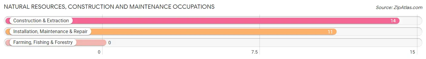 Natural Resources, Construction and Maintenance Occupations in Zip Code 37402