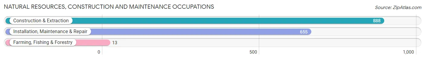 Natural Resources, Construction and Maintenance Occupations in Zip Code 37620