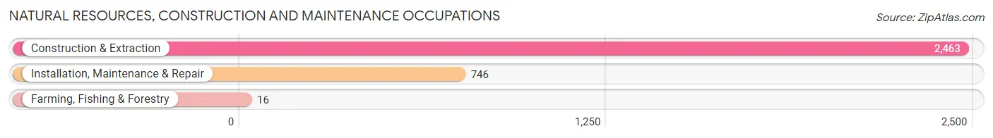 Natural Resources, Construction and Maintenance Occupations in Zip Code 60505