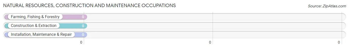 Natural Resources, Construction and Maintenance Occupations in Zip Code 60606