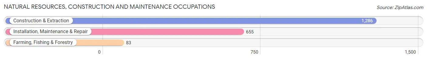 Natural Resources, Construction and Maintenance Occupations in Zip Code 60608