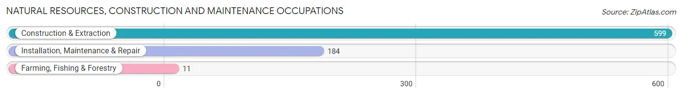 Natural Resources, Construction and Maintenance Occupations in Zip Code 60622