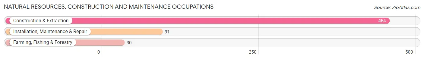 Natural Resources, Construction and Maintenance Occupations in Zip Code 60624