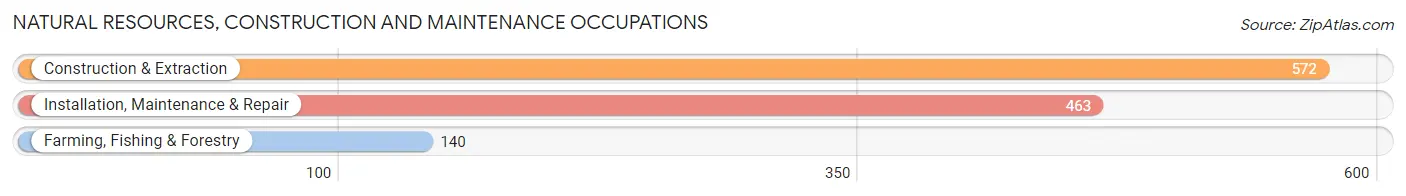 Natural Resources, Construction and Maintenance Occupations in Zip Code 68137