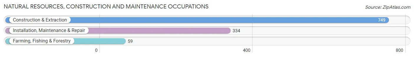 Natural Resources, Construction and Maintenance Occupations in Zip Code 83814