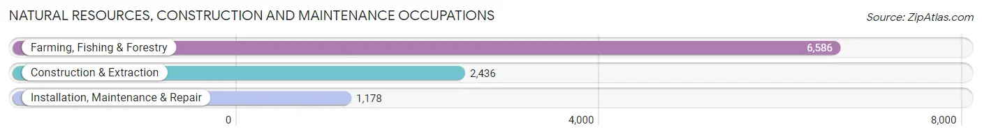 Natural Resources, Construction and Maintenance Occupations in Zip Code 93033