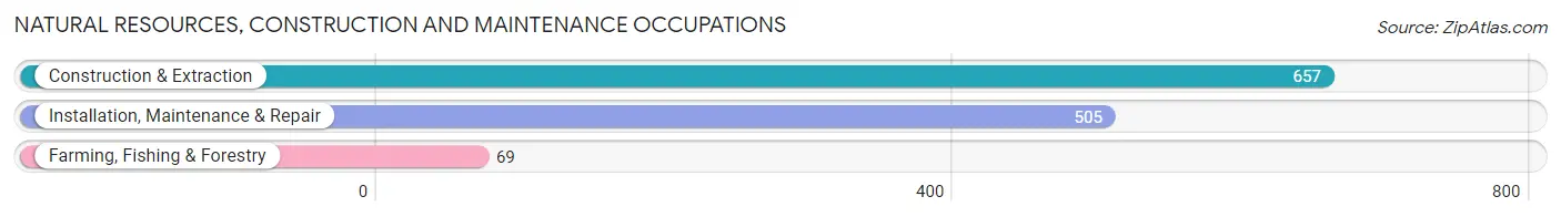 Natural Resources, Construction and Maintenance Occupations in Zip Code 93611