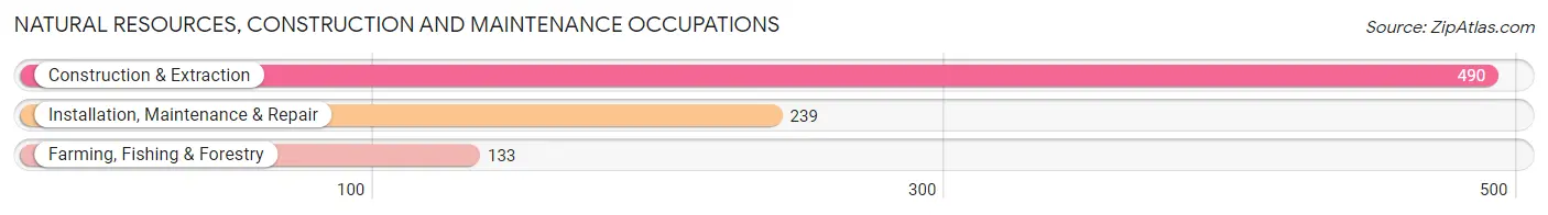Natural Resources, Construction and Maintenance Occupations in Zip Code 95926
