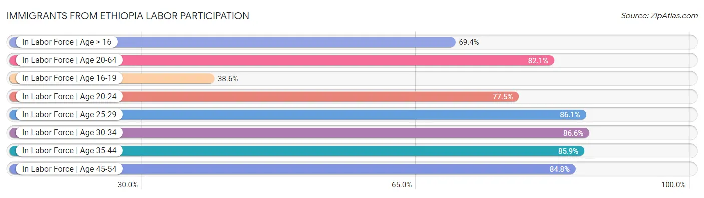 Immigrants from Ethiopia Labor Participation